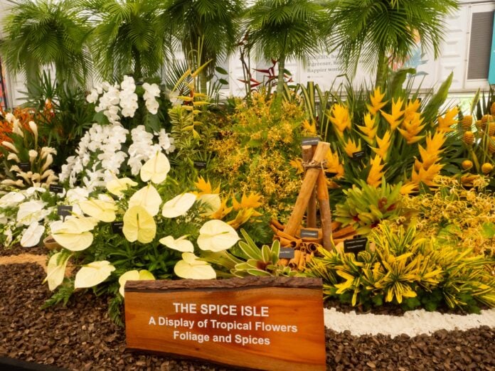 Grenada@Chelsea Flower Show 2026