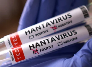 Westmoreland health officials step up surveillance amid regional hantavirus concerns Hantavirus