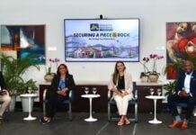 Diaspora urged to seek professional guidance in Jamaican real estate market