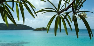 Discovering the magic of St. John: Hidden beaches and golden sunsets St. John beaches