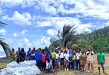 SVG Sailing Week earns gold certification for sustainability SVG Sailing Week
