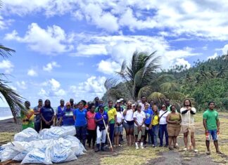 SVG Sailing Week earns gold certification for sustainability SVG Sailing Week