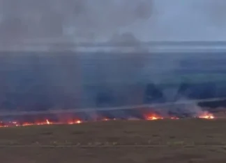 Unhealthy air quality advisory issued in Broward due to Everglades wildfire