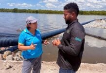 GraceKennedy Foundation annual lecture to spotlight Kingston Harbour cleanup progress