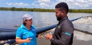 GraceKennedy Foundation annual lecture to spotlight Kingston Harbour cleanup progress