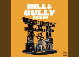 The ‘Hill and Gully’ debate: cultural defacing or modern reinvention? 'Hill and Gully' riddim
